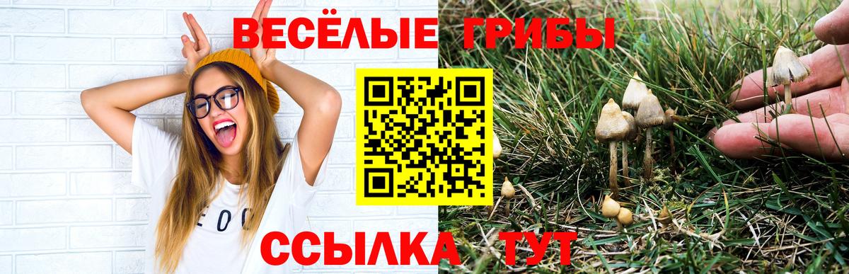 Заволжье  Галлюциногенные грибы мухоморы  Вход с VPN 