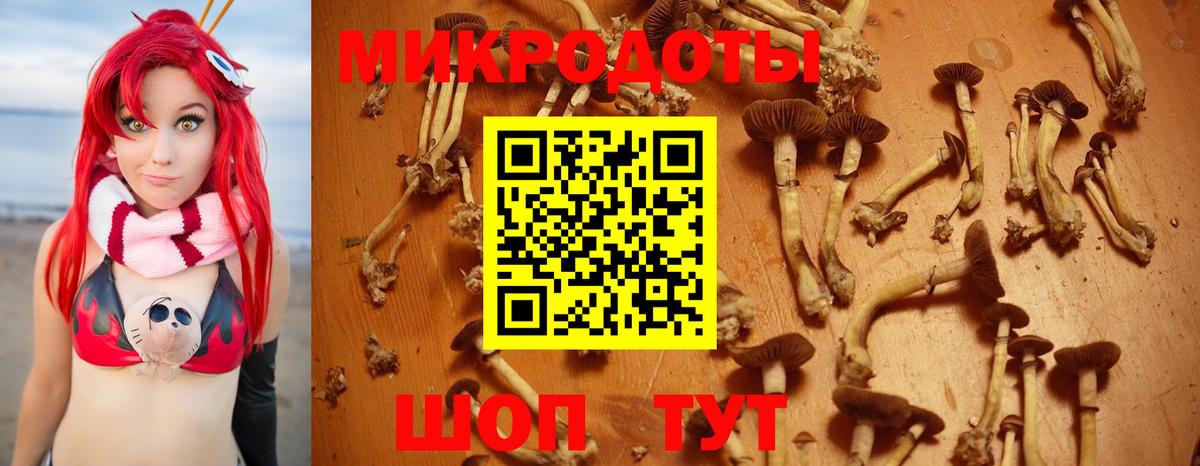 Псилоцибиновые грибы Magic Shrooms Заволжье