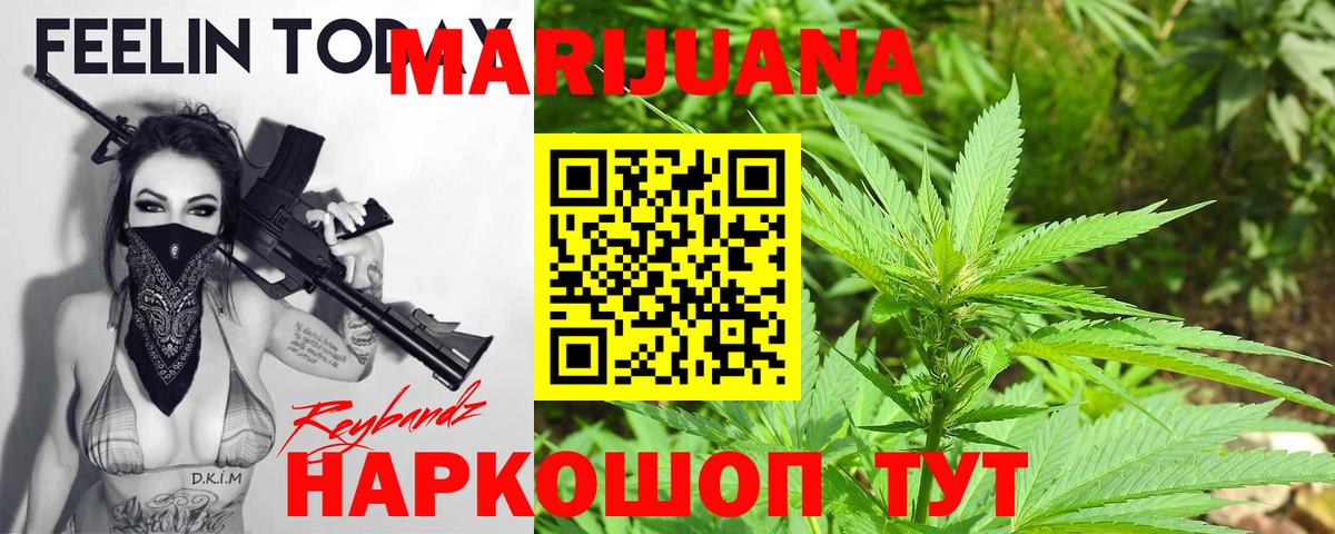 Конопля сатива Заволжье